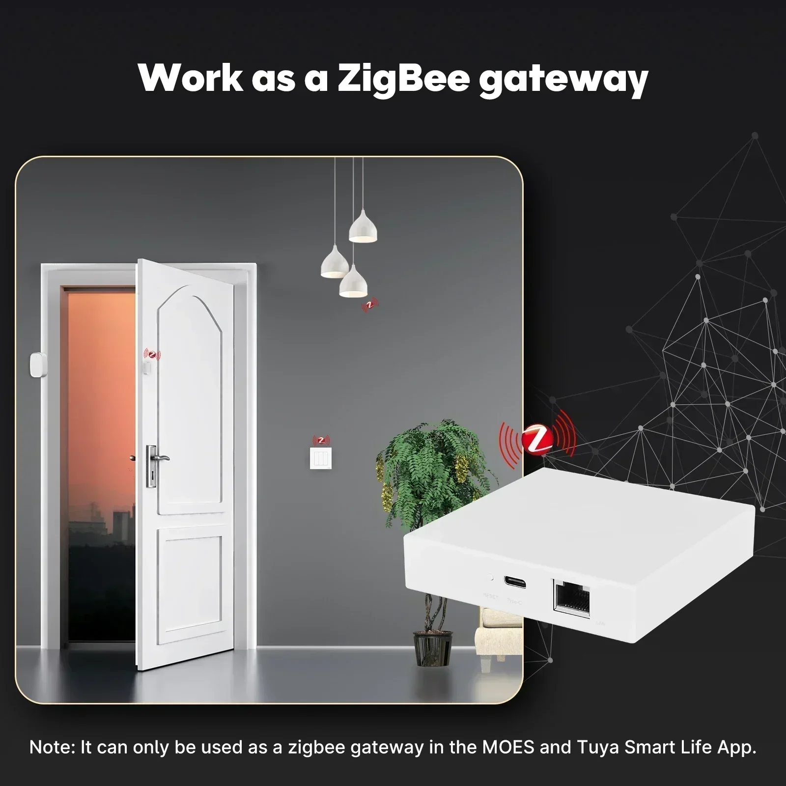 MOES Tuya Zigbee Matter Thread - Matter Hub Thread review and price